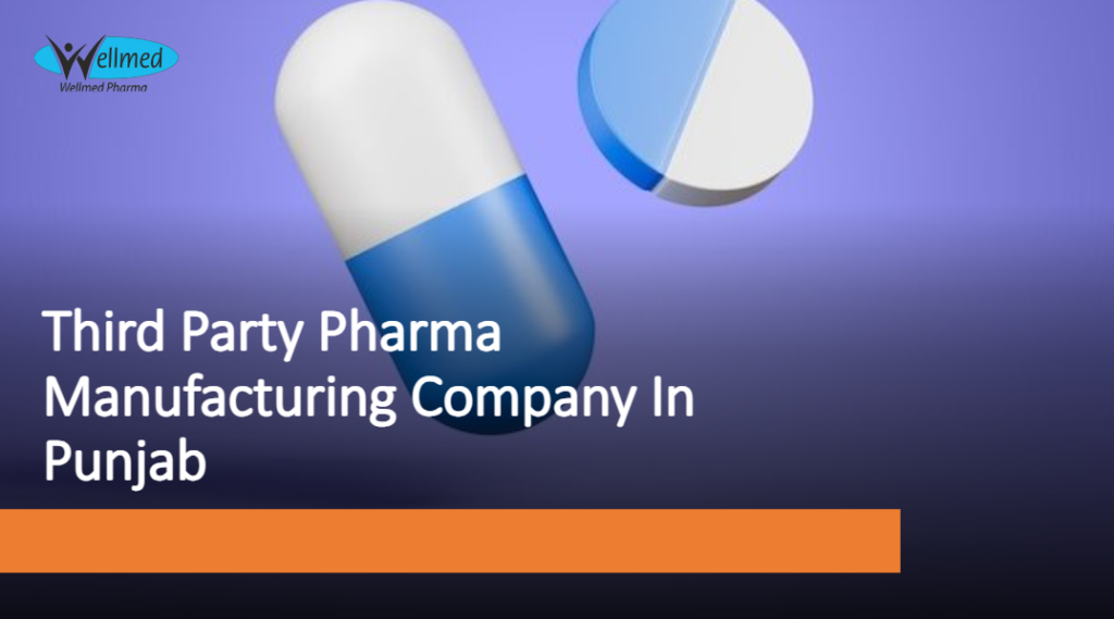 Third Party Pharma Manufacturing Company In Punjab