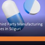 Top 10 Third Party Manufacturing Companies in Siliguri