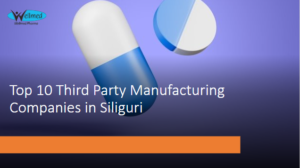 Top 10 Third Party Manufacturing Companies in Siliguri